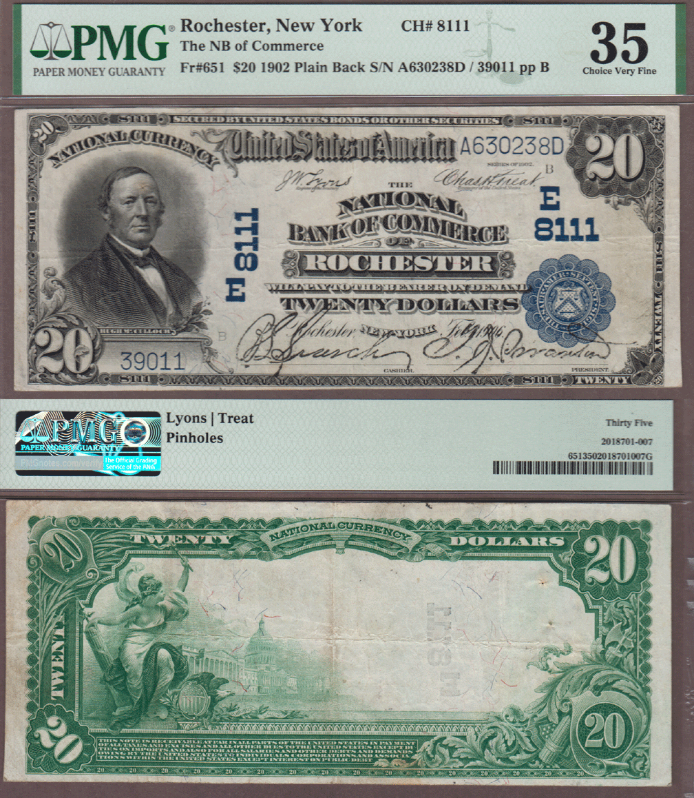 1902 Plain Back $20.00 FR-651 Rochester New York Charter 8111