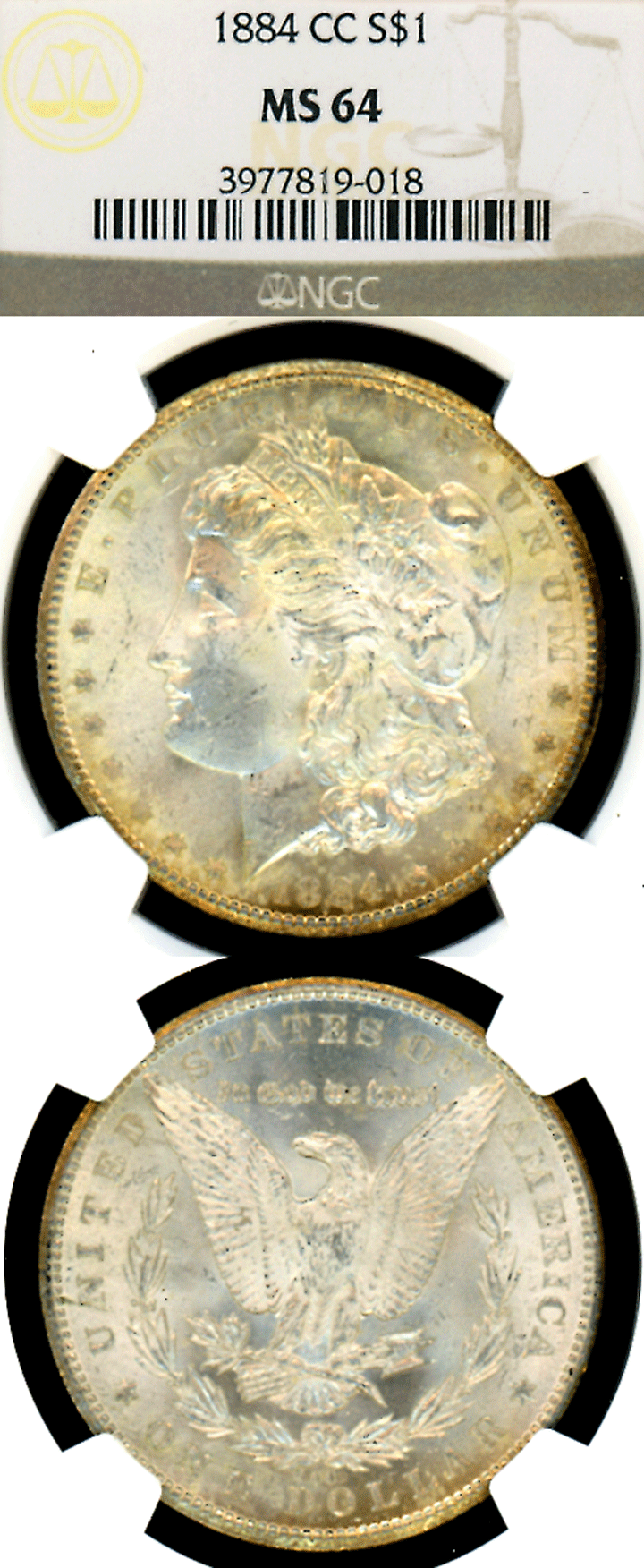 1884-CC $ NGC MS-64