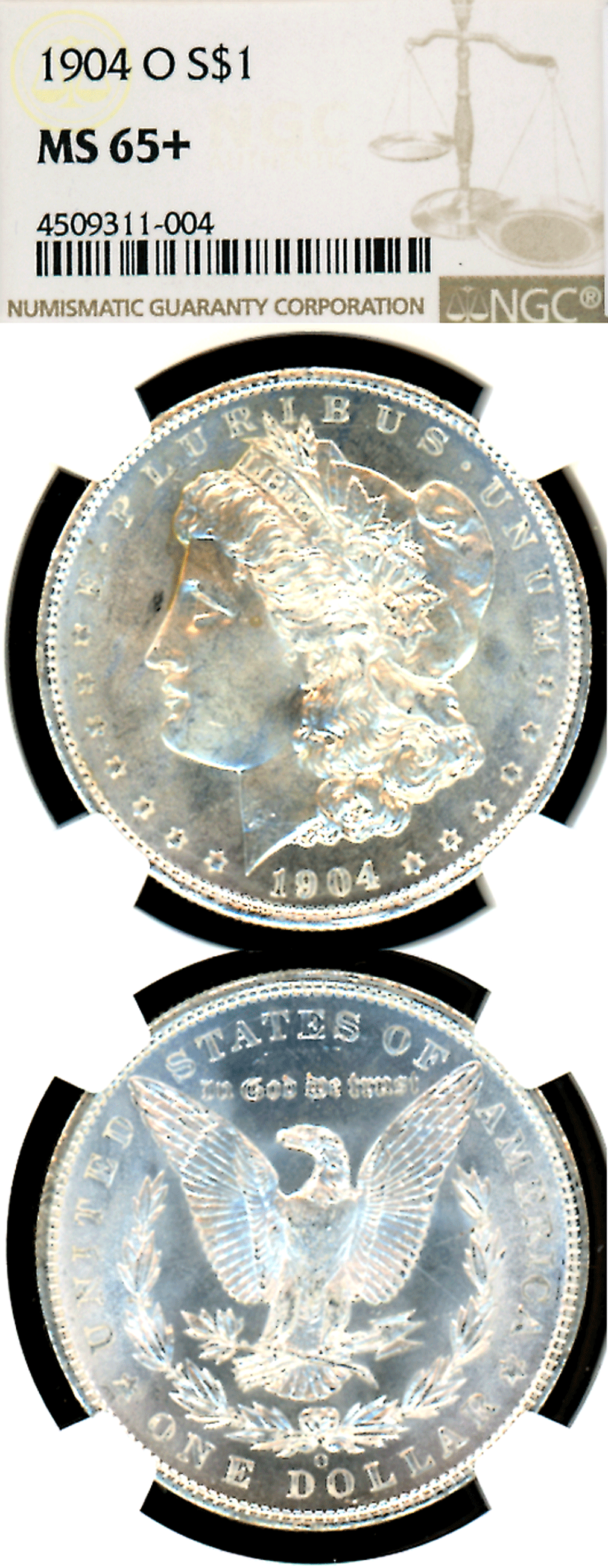1904-O $ NGC MS-65+