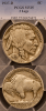 1937-D 3 LEG BUFFALO PCGS VF-25