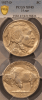 1937-D 3 LEG BUFFALO PCGS XF-45